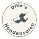 Ollies